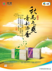 廣告設(shè)計(jì) 藝術(shù)與商業(yè)的完美融合